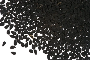 Black Cumin Seeds Drucke: Nigella seeds
