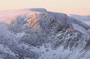 Geologisch Drucke: Nordliche Korallen am Morgen