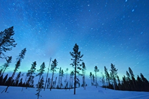 Drucke von Nordlichter: Zeitbeläufige Fotografie des Nordlichts oder der Aurora Borealis und Sterntrails um den Polstern Bilder Datiert 2011 Dezember: Nordlichten