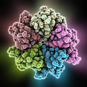 Bilder Datiert 1. März 2013: Nukleoplasm- Molekül