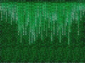 DNA Drucke: Zellkernbasismatrix