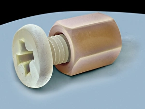 Scanning Electron Microscope Photos Drucke: Nut and bolt, SEM