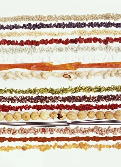 Protein Rich Legumes Drucke: Nuts, beans and seeds
