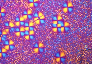 Polarised Light Micrograph Drucke: Nylon 6 crystals