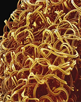 Bilder Datiert 28. November 2001: Seil aus Nylon für die Semikronik