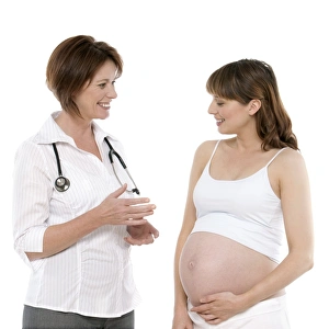 Fetal Development Stages Drucke: Obstetric consultation