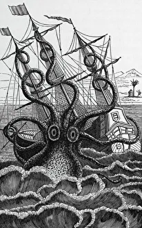 Drucke von Keine Übersetzung möglich Bilder Datiert 2011 März: Oktopus angreift ein Schiff