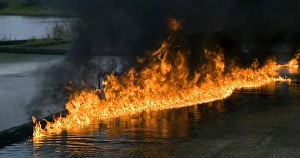 Drucke von Ölfeuer, brennendes Öl auf der Wasseroberfläche treibt Bilder Datiert 2006 August: Oil fire