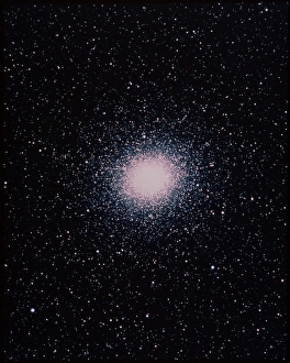 Bilder, datiert 1995: Omeegaszentaurus