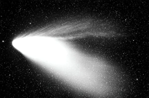Cosmology Science Images Drucke: Optical image of comet Hale-Bopp