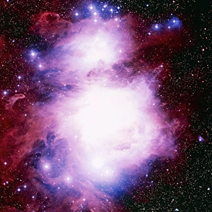 Orion Nebula Drucke: Optical image of the Orion Nebula