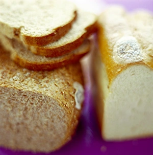 Homemade Bread Drucke: Organic bread