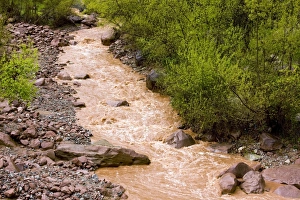 High Atlas Mountains Drucke: The Ourika river in spate