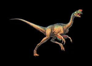 Drucke von Oviraptor ist ein kleiner Vogelartiger Dinosaurier gewesen, der in China gelebt hat zwischen etwa 85 und 70 Millionen Jahren vor unserer Zeit im späten Jura Bilder Datiert 2003 Dezember: Rauhenrachierosauridae Dinosaurus