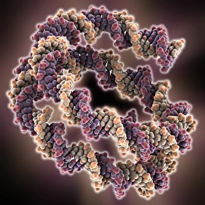 Deoxyribonucleic Acid Drucke: Packaged DNA molecule