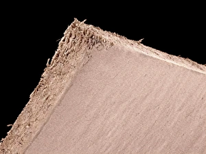 Coloured Scanning Electron Microscopy Drucke: Paper, SEM