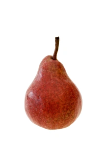 Pyrus Communis Drucke: Pear Red Williams
