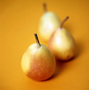 Food Photography Techniques Drucke: Pears