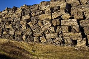 Goldenstedter Moor Drucke: Peat stack C018 / 0881
