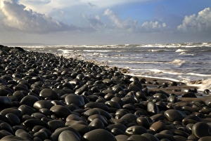 North Devon Coastline Drucke: Pebble ridge