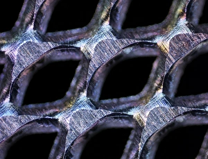 Light Microscope Images Drucke: Perforated steel sheet, light micrograph