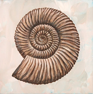 Fossilized Ammonites Drucke: Perisphinctes ammonite, artwork