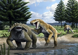 Drucke von Permische Säugetiere. Computergebild von einem bearbeiteten Inostrancevia sp Bilder Datiert 2011 August: Permian Tiere, Kunstwerk