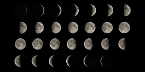 Drucke von Phasen des Mondes. Kompositbild, das den Mond an jedem Stuhl seiner 28-Tage-Zyklus (einer lunaren Monat) zeigt Wissenschaftliche Poster: Fasern der Mondphase