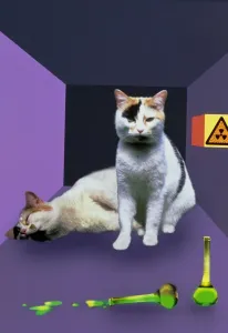 Physik Drucke: Schrödingers Katze-Experiment