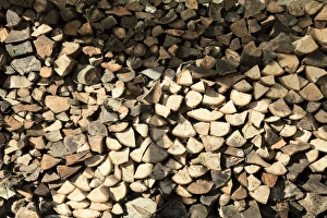 Split Firewood Drucke: Pile of logs