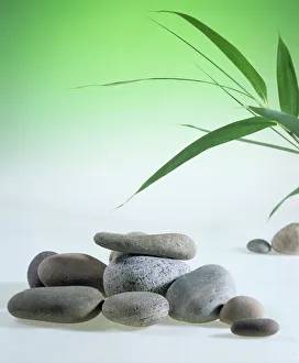 Drucke von Pile von Steinen zur Steintherapie. Bamboo (Familie Poaceae) ist oben Schlafzimmer Drucke: Steinhaufen