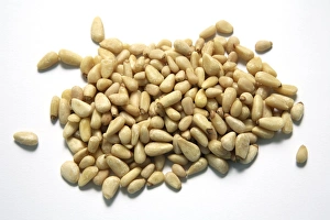 Pine Nuts Drucke: Pine nuts