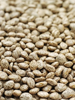 Legume Images Drucke: Pinto beans