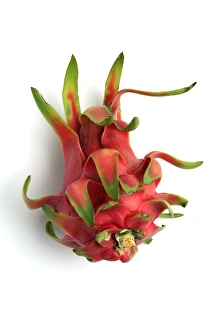 Dragon Fruit Nutrition Drucke: Pitahaya fruit