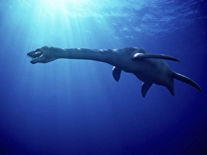 Drucke von Plesiosauruskunstwerk; Plesiosauren waren marine Reptilien, die im Meer während der Jurassischen und Kreidezeit lebten. Sie waren nicht Dinosaurier trotzdem zu derselben Zeit gelebt haben Bilder Datiert 2007 Juli: Plesiosaur