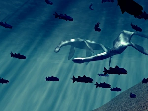 Marine Reptiles Drucke: Plesiosaurs