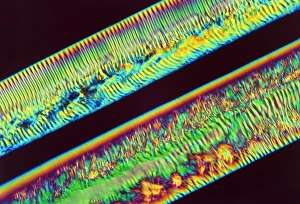 Polarised Light Microscopy Images Drucke: Polarised light micrograph of polymer filaments
