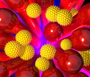 Drucke von Die Befruchtung. Computerkunstwerk mit Pollenkerne (gelbe spitze Kugeln) auf der Staubblutgefäße (rot). Die Pollenkern enthalten die männlichen Geschlechtszellen (Gamenzen) einer Blumenzweige Bilder Datiert 2001 November: Pollen