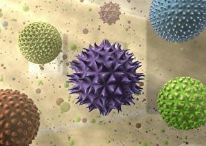 Pollen Allergy Symptoms Drucke: Pollen and dust, artwork