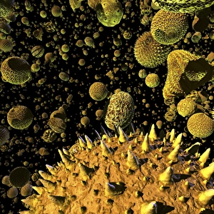 Körnerpollen, Kunstwerk