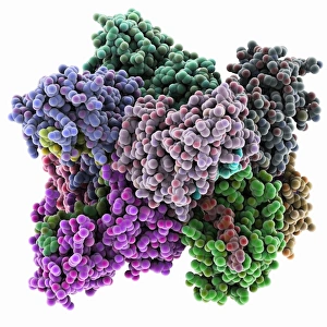Bilder Datiert 16. Januar 2013: Polypeptid-A bindendes Protein und RNA-Komplex