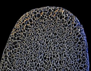 Coloured Scanning Electron Microscopy Images Drucke: Polystyrene foam, SEM C016 / 8049