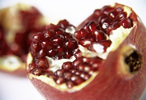 Punica Granatum Drucke: Pomegranate