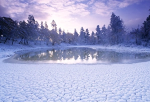 Winter Nature Photography UK Drucke: Pond in winter
