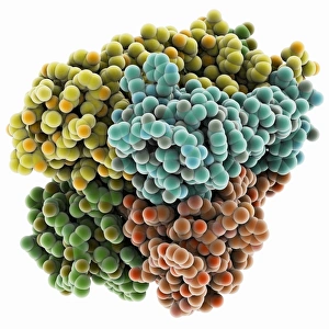 Cell Membrane Structure Drucke: Potassium channel molecule