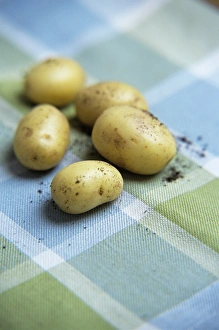 New Potatoes Drucke: Potatoes