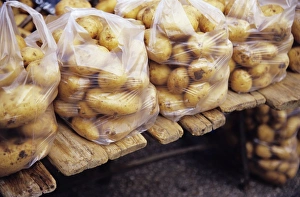 Potato Nutrition Drucke: Potatoes