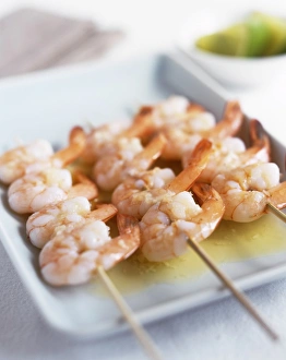 Prawn Nutrition Drucke: Prawns