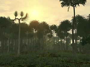 Carboniferous Period Drucke: Prehistoric forest, artwork