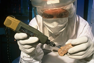 Prehistoric Human Remains Drucke: Preparing neanderthal bones for DNA extraction